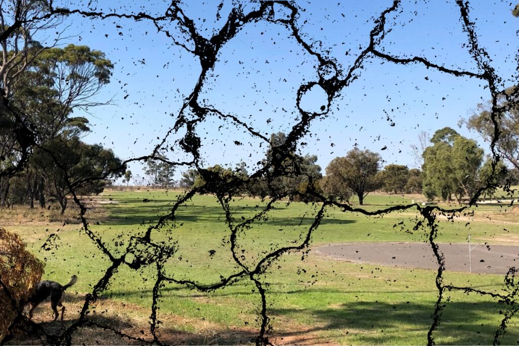 Gnowangerup Golf Club